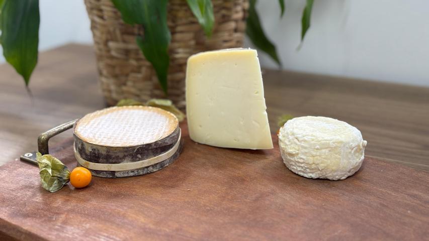 Entre produtos de mais de 50 países, queijos paranaenses são premiados em Mundial na Suíça