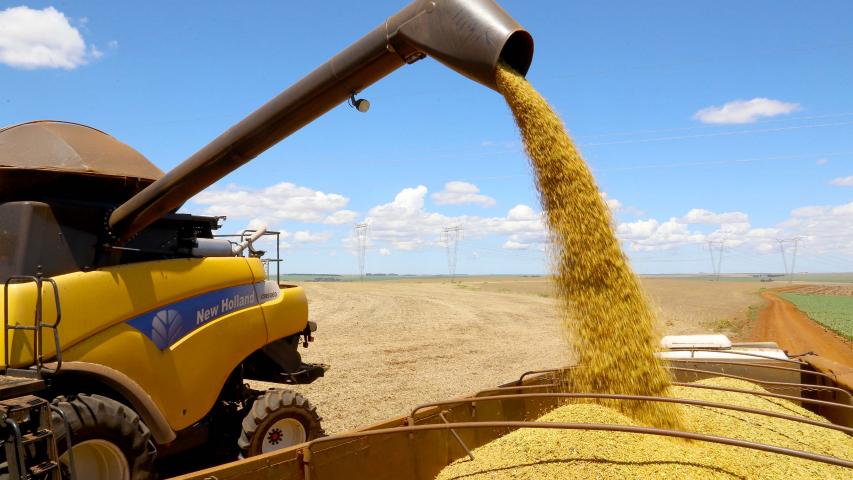 Deral calcula que VBP do Paraná ultrapasse R$ 200 bilhões em 2025 