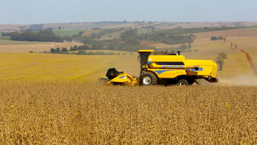 Safra ganha volume e consolida cenário positivo no campo paranaense