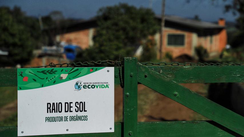 Paraná inicia censo inédito para mapear perfil da agricultura orgânica no Estado