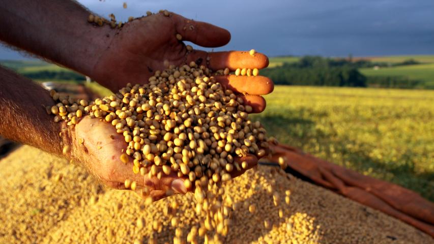 Safra de soja do Paraná se aproxima do recorde e reforça otimismo no campo, aponta Deral