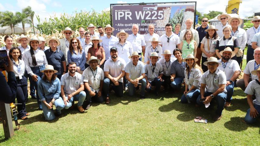 Resistentes e rentáveis: Estado lança cultivares de milho e mandioca no Show Rural