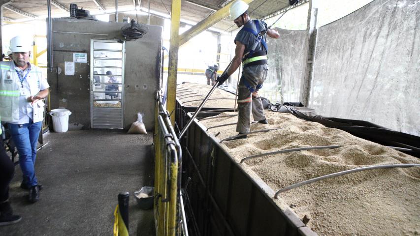  IDR-PR garante qualidade da soja, farelo e milho embarcados no Porto de Paranaguá 