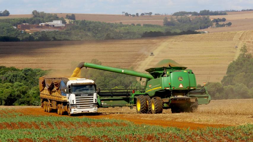  Soja e milho impulsionam produção paranaense com estimativa de 39,1 milhões de toneladas 