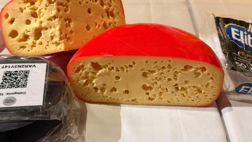  Paraná garante destaque no Mundial do Queijo do Brasil 2026 