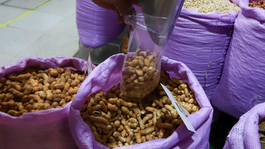  Paraná é o 3º maior exportador de peru do Brasil; safra de amendoim deve ter recorde 