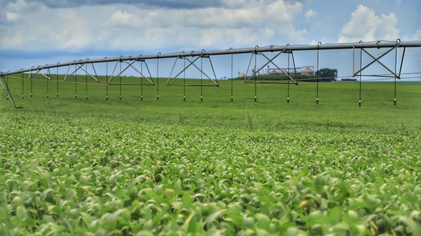 Complexo soja impulsiona agronegócio do Paraná com faturamento de US$ 2,94 bilhões até maio