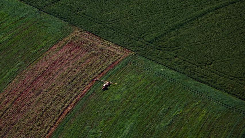 VBP Agropecuário do Paraná cresce 13% e alcança R$ 212,6 bilhões em 2025