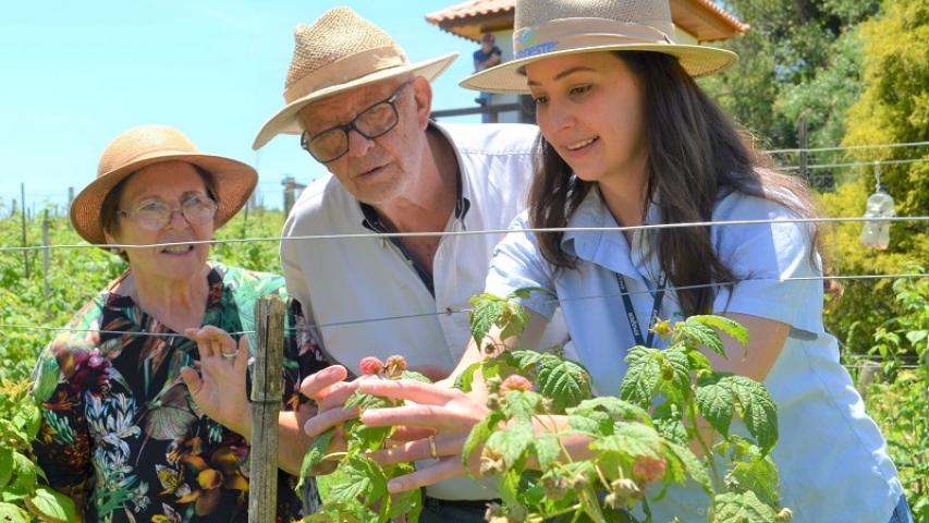O engenheiro-agrônomo ajuda a transformar a agropecuária paranaense