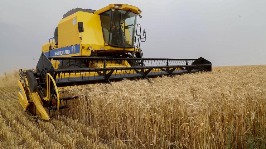 Boletim do Deral aponta efeitos das chuvas sobre trigo e destaca avanço nas exportações de frango