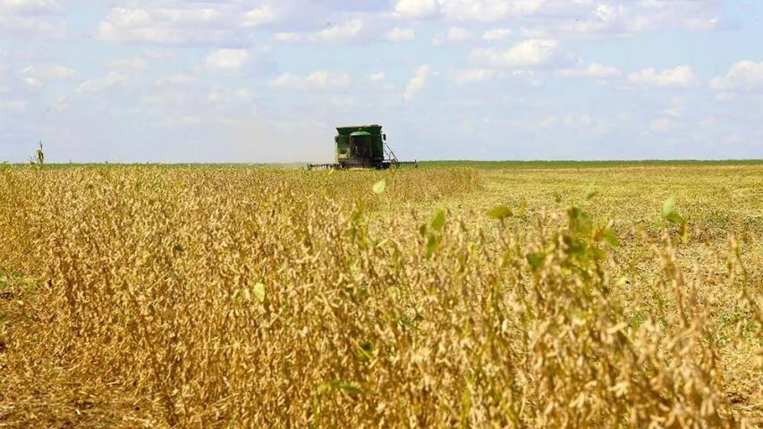 Com alta de 5,5%, Paraná chega a US$ 18,7 bilhões exportados de janeiro a setembro