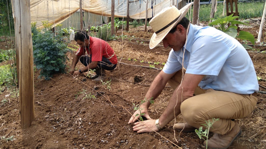 O engenheiro-agrônomo ajuda a transformar a agropecuária paranaense