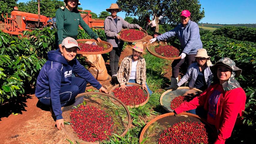 Feira da Agroindústria Familiar reúne produtores e valoriza protagonismo das mulheres rurais