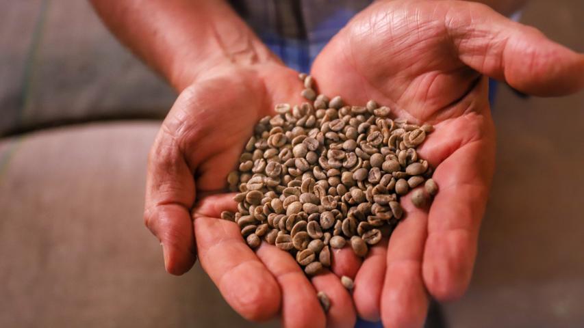 Café mais barato na prateleira e soja em alta nas exportações, mostra boletim do Deral